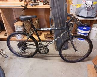 Northern Edge 10 Speed Men's bike bicycle