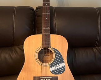 Jasmine guitar by Takamine