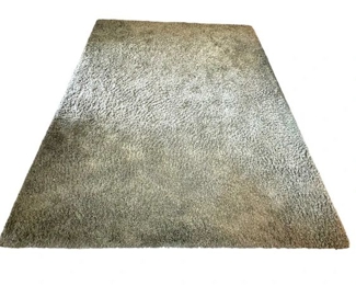 Green Shag Area Rug
