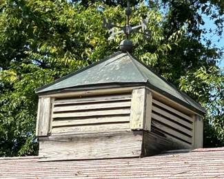 A Little difficult to see the horse for the trees but cupalla is for sale!