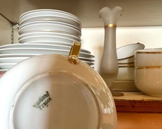 Haviland Limoges White & Gold Rim Dinnerware Set