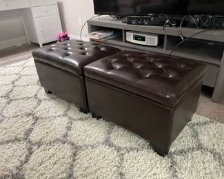 2 Brown Storage Ottomans, Ethan Allen Bronzeville Media Stand, Ethan Allen Nakia 8x10 Rug