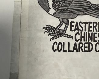 Blackstock Limited Signed Number Prints- Peppers, Cauliflower and Crows