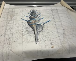 Rafael Araugo- Large Original- Monarch Mirror (40 x 60, Medium Original- The Shell, on Canvas to be framed, Limited Prints of Monarchs DH,