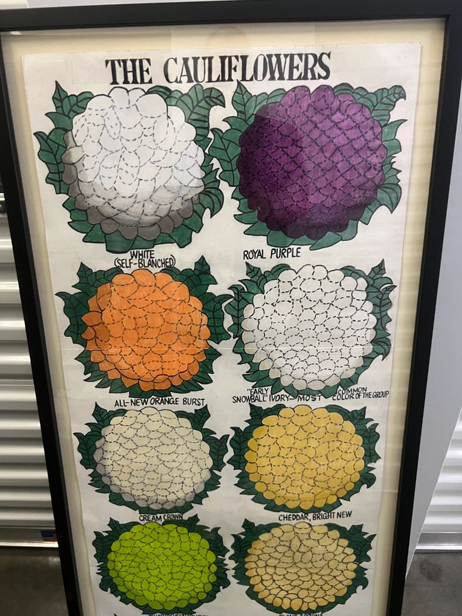 Blackstock Limited Signed Number Prints- Peppers, Cauliflower and Crows