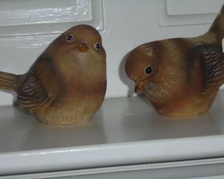 Pair brown birds