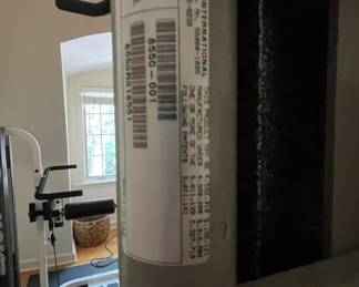 Hoist Exercise Equipment. Photo 4 of 4.