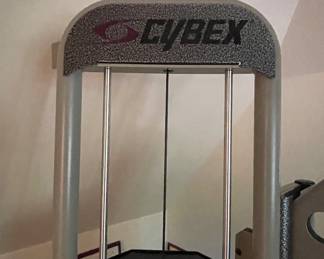 Cybex Mulit-Hip Machinę. Photo 1 of 2.