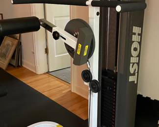 Hoist Exercise Equipment. Photo 2 of 4.