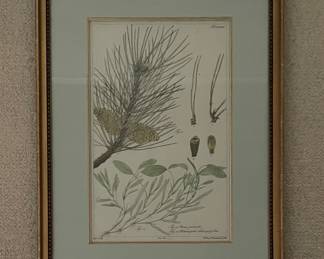 Antique Hand-Painted Botanical Prints - 3 Available. Photo 4 of 5.