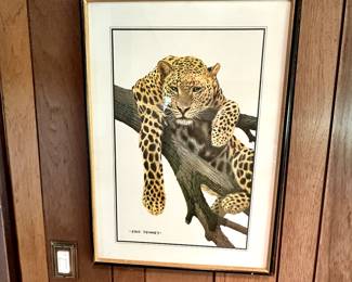 Leopard showing his spots! 