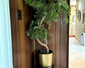 This is fun! NEVER needs watering! 