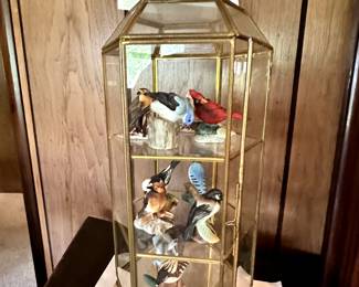 Garden Birds of the World Figurines with cards!