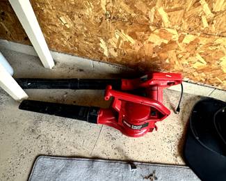 Leaf blowers! 
