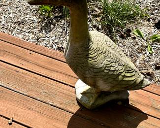 Outdoors and around the house!