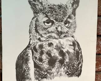 Beautiful signed Owl Print! Carol Darling 1976!