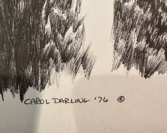 Beautiful signed Owl Print! Carol Darling 1976!