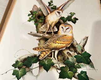 Beautiful signed Barn Owl Print! Roger Tory Peterson 1975!