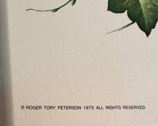 Beautiful signed Barn Owl Print! Roger Tory Peterson 1975!