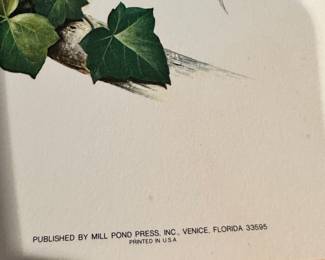 Beautiful signed Barn Owl Print! Roger Tory Peterson 1975!