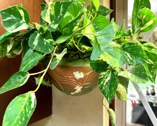 Didn't see this great piece until TODAY! Roseville Pottery Snowberry 1947 Pink Hanging Basket Planter!