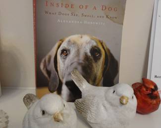 Why do you think your dog gives you kisses? They want to know what you have been eating! Who knew??