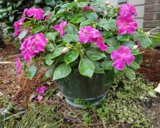 3 Green Terra Cotta Glazed Pots