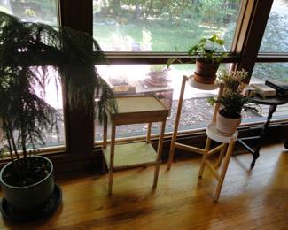 Vintage plants and plant stands too
