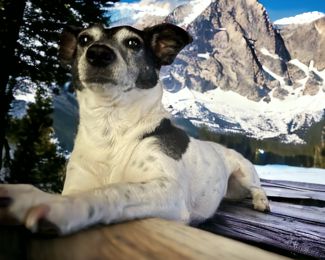 I’m on vacation!  Please call Mom for more info!