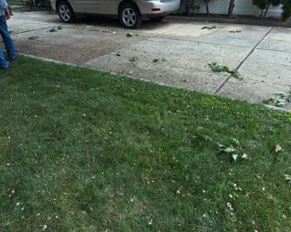 Lots of acorns on back yard and driveway, so please be careful!!  