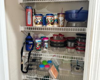 Plastics, Many Disney Pieces
