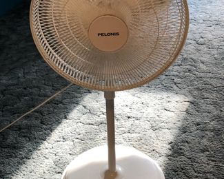 Standing fan only $16