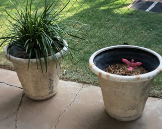 potters for sales with plants $25 each