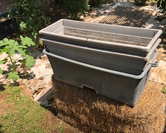 Planter containers from Guerney's $20  each (5)