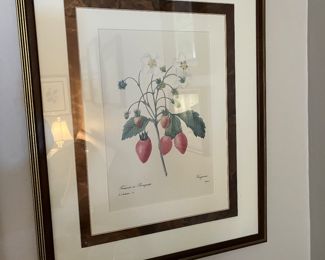 vintage framed botanicals - pair