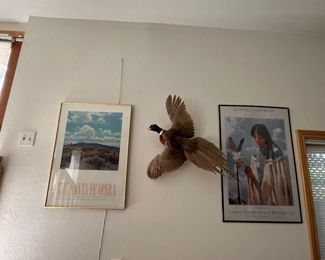 taxidermy pheasant, Sant Fe Opera posters