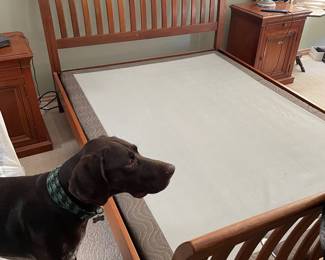 Full size cherry sleigh bed with functioning remote controlled adjustable bed frame (Pointer not for sale)