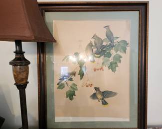 Vintage Audubon Framed Art