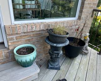 Outdoor Plants & Pots