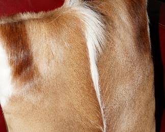 Hide & fur throw pillows x 2