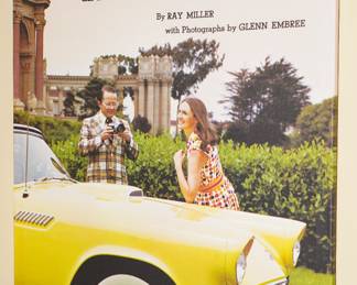 Thunderbird! hardback book made into a wall canvas