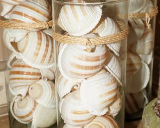 Zodax shells in glass vase x 3