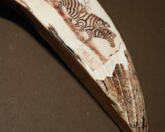 Hand carved & painted scrimshaw warthog tusk by Simba