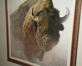 Buffalo lithograph by Robert Bateman 1997