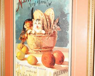 New Crop kitten poster