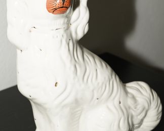 These pups are quite old. Staffordshire.