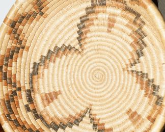 The Native American baskets are Navajo, Paiute, Hopi, and Papgo.