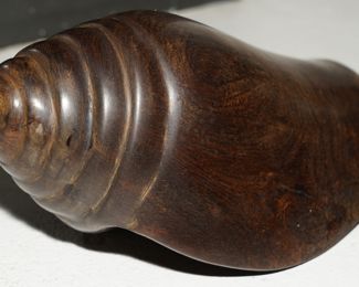 Ironwood conch shell