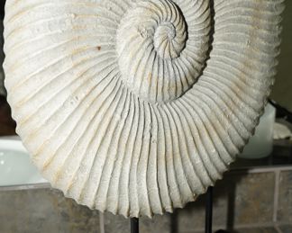 Decorative shell on iron stand