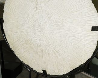 Decorative sea anemone on iron stand